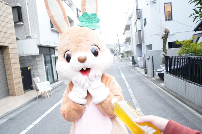 【VR】着ぐるみの中身の女性がアイドル級に可愛い美少女だった 篠宮ゆり