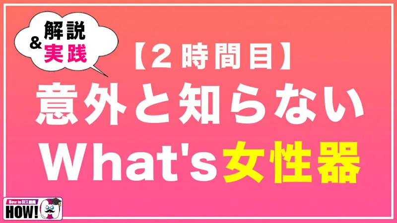 How to学園 観たら【絶対】SEXが上手くなる教科書AV 初級編