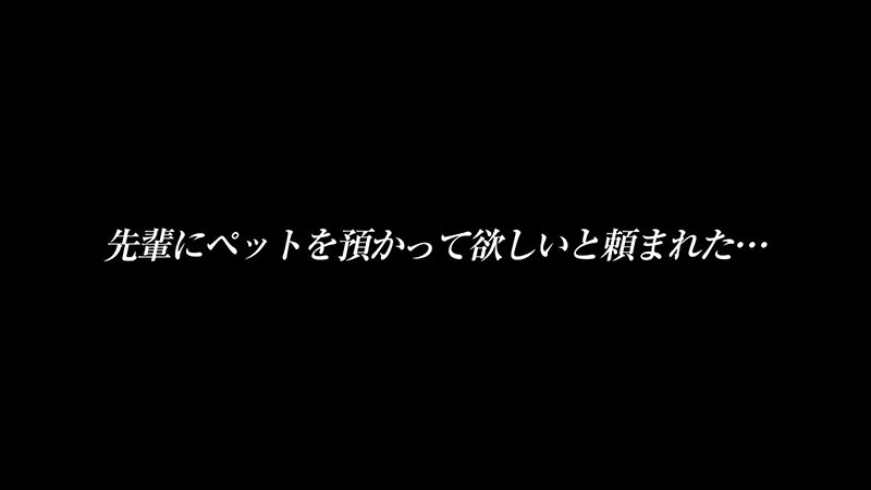 日泉舞香 先輩に預かってほしいと頼まれたペットはイラマ好きのM女…。ビールとわかめおにぎりも好き…無口な舞香と無口なボクの一泊二日の同居性活