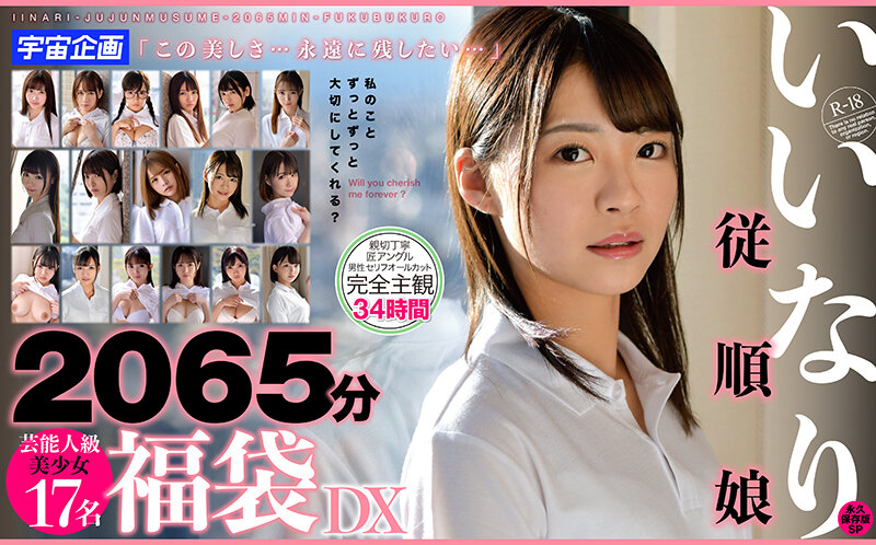 いいなり従順娘2065分芸能人級美少女17名 福袋DX