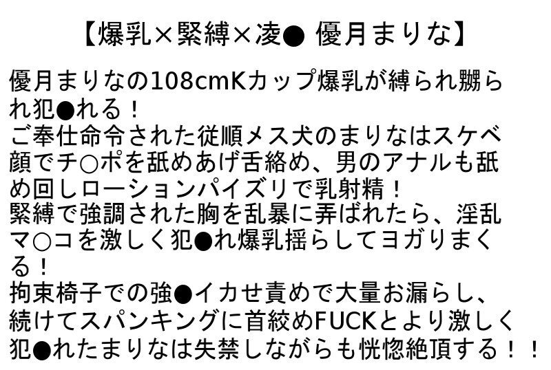 【お得セット】何でも言うこと聞くデカ尻爆乳いいなり女・爆乳マゾ熟女緊縛調教・爆乳×緊縛×凌●